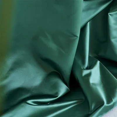 TIBER BLUEBERRY thumbnail 5