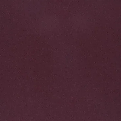 TIBER - CURRANT thumbnail 2