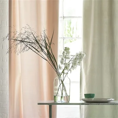 TIBER DEWBERRY thumbnail 4