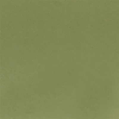 TIBER - ELM thumbnail 2