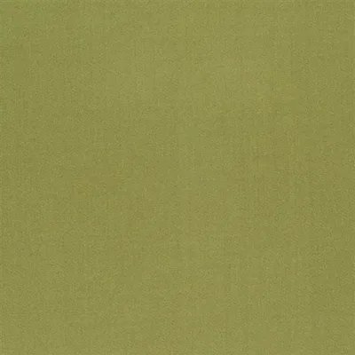 TIBER - MOSS thumbnail 2