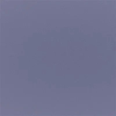 TIBER OYSTER thumbnail 4