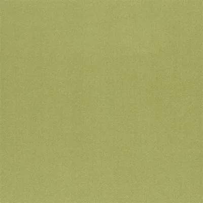 TIBER - PISTACHIO thumbnail 2