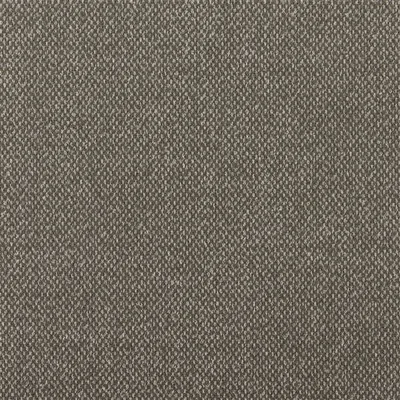 TORRINGTON NUTMEG — Torrington swatch, view 1