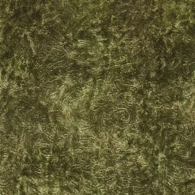 PENWITH MOSS thumbnail 2