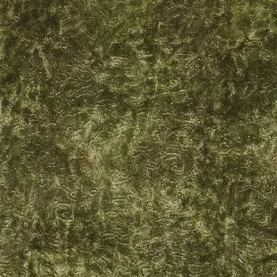 PENWITH MOSS — Travenna swatch, view 1