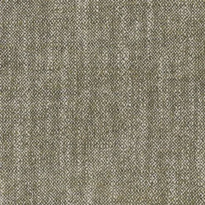 TOULON MOSS thumbnail 2