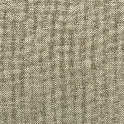 TOULON NATURAL swatch