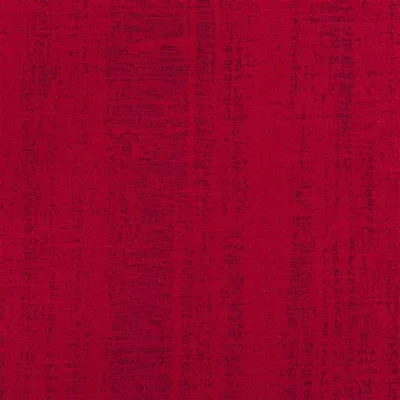 AMPARA ROSSO thumbnail 2