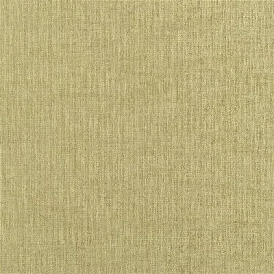 KALUTARA MEADOW — Trentino Stretto swatch, view 1