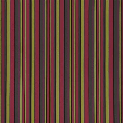 SERGE - GRASS thumbnail 5