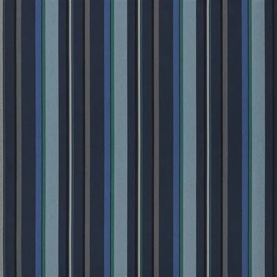 WEBBING STRIPE - INDIGO swatch