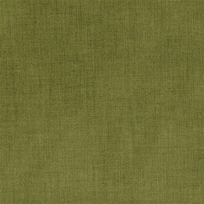 FORTEZZA MOSS thumbnail 2