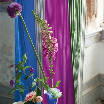 DELPHI - COBALT thumbnail 3