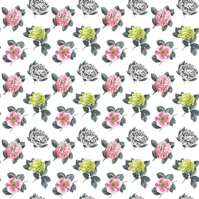 DELPHI - PEONY thumbnail 4