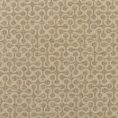 DERWEN SHORE LICHEN swatch