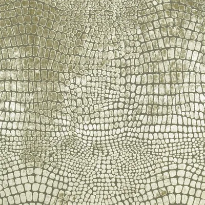 NABUCCO - PEARL — Whitewell swatch, view 1