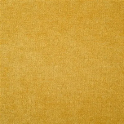 ZARAGOZA - DANDELION — Zaragoza swatch, view 1