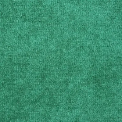 ZARAGOZA - FERN thumbnail 6