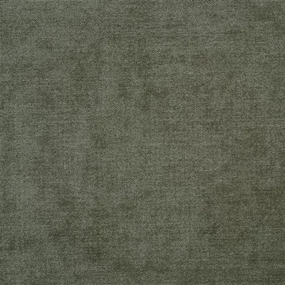 ZARAGOZA - FERN swatch