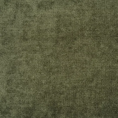 ZARAGOZA - FOREST thumbnail 2