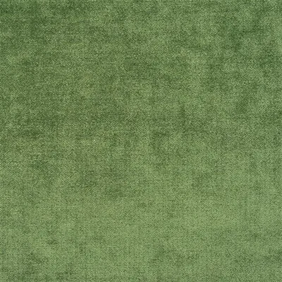 ZARAGOZA - JUNIPER swatch