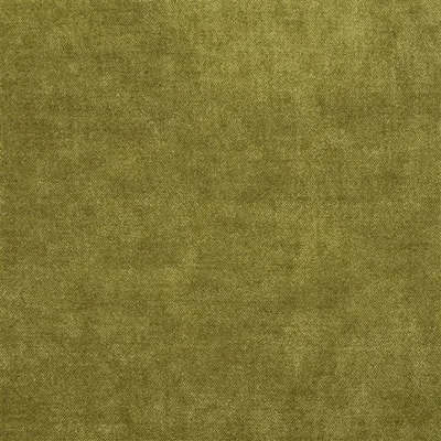 ZARAGOZA - MOSS thumbnail 2