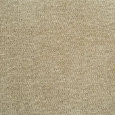 ZARAGOZA - SEAGRASS — Zaragoza swatch, view 1