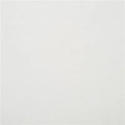 ZARAGOZA - SNOW — Zaragoza swatch, view 1