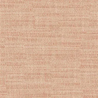 TAMEGA CLAY thumbnail 2