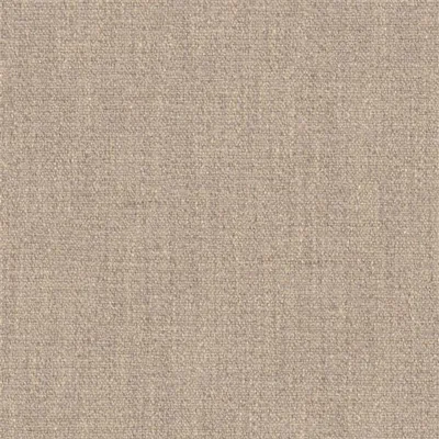 TAMEGA MOLESKIN swatch