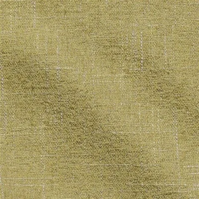 ZEZERE OLIVE thumbnail 3