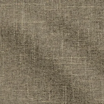 ZEZERE ROEBUCK thumbnail 3