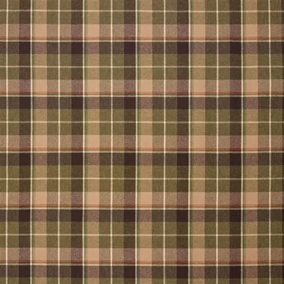 ALETTE PLAID - MOSS — Signature Wool Tartans swatch, view 1