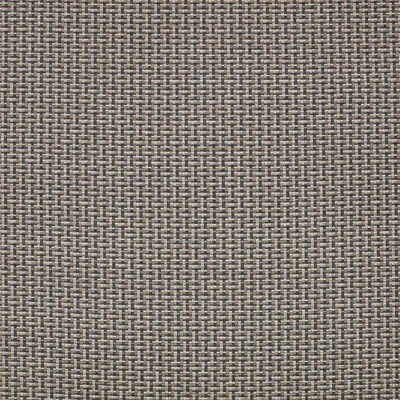 KIKU TAMARIND swatch