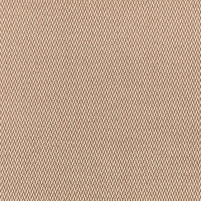 LUIZ CINNAMON thumbnail 3