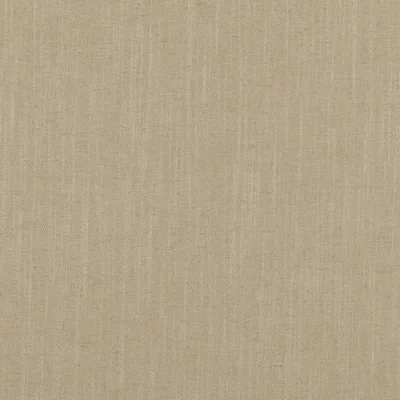 ASURI ALMOND — Asuri swatch, view 1