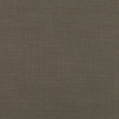 ASURI HAZEL — Asuri swatch, view 1