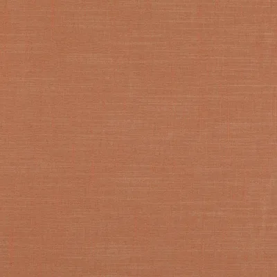 ASURI HENNA — Asuri swatch, view 1