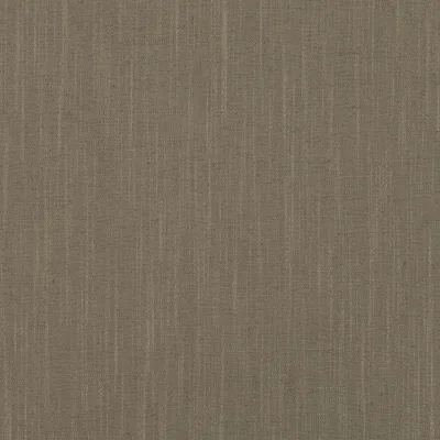 ASURI PORCINI — Asuri swatch, view 1