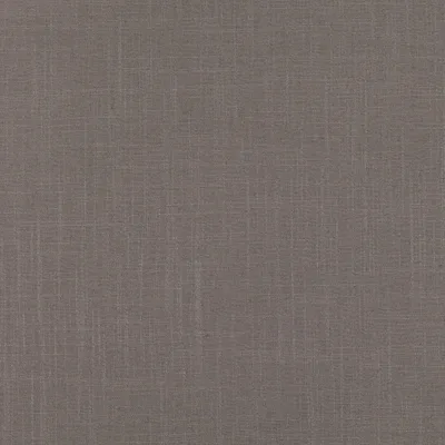 ASURI RHODIUM swatch