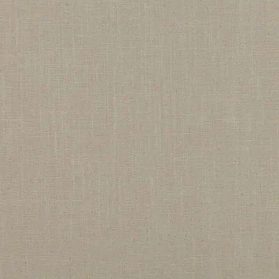 ASURI SEASHELL — Asuri swatch, view 1