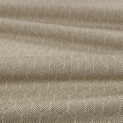 REMI CAPER thumbnail 3