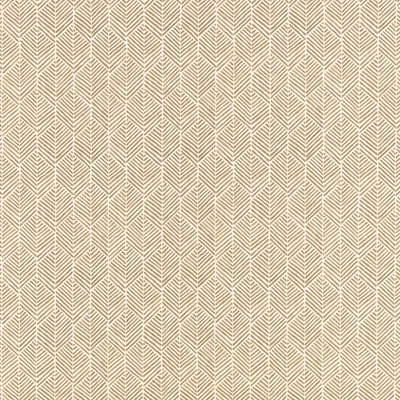 REMI CAPER thumbnail 4