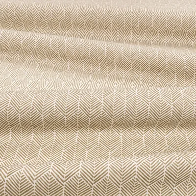 REMI CAPER thumbnail 5