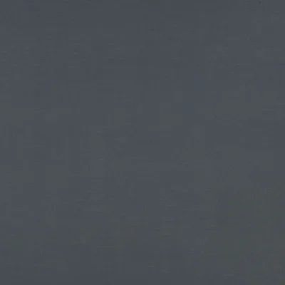 CELINO BLUEBERRY thumbnail 2