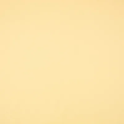 CELINO BUTTER swatch