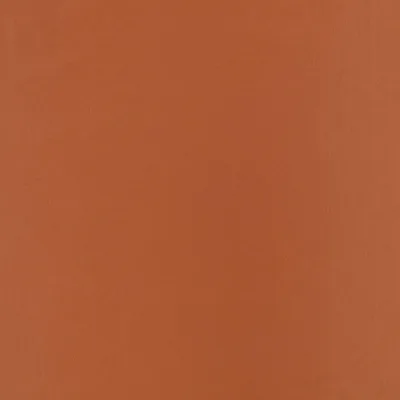 CELINO CAJUN thumbnail 3