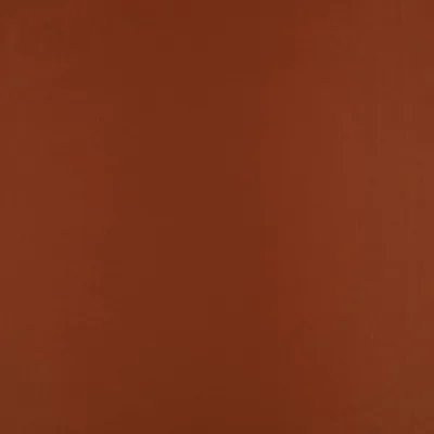 CELINO CAJUN — Celino swatch, view 1