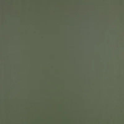 CELINO FERN thumbnail 2